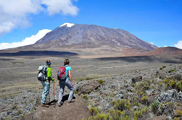 Kilimanjaro