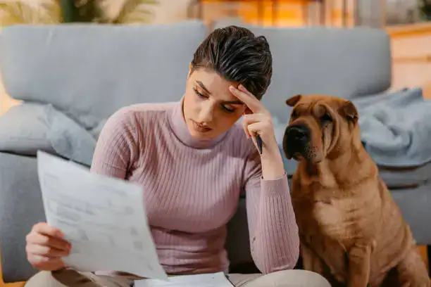 How to calculate dog age in human years