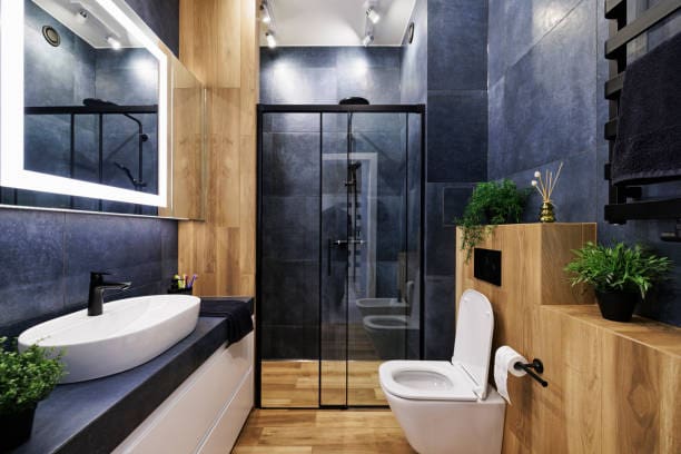 toilet repair services in dallas