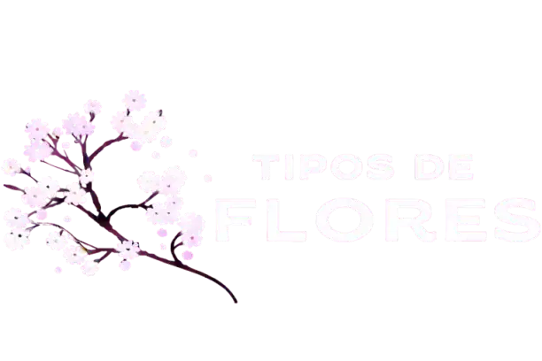 Tipos de flor