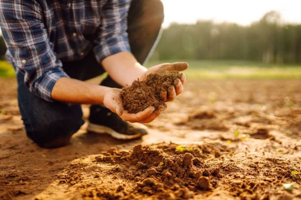 A person, possibly a farmer, kneels in a field, holding and examining a handful of dark, rich soil in their hands.