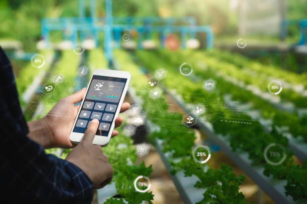 A person uses a smartphone with a smart farming interface, overlayed with data icons, in a hydroponic lettuce farm, showcasing technology in agriculture.