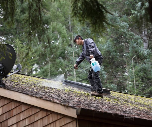 Roof Cleaning