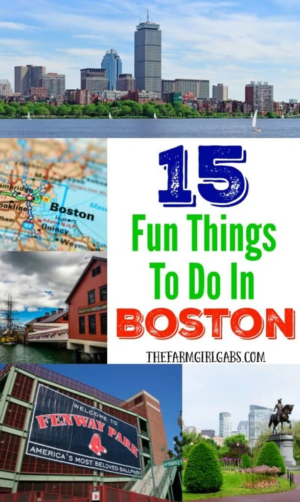 Pin on Fun things to do