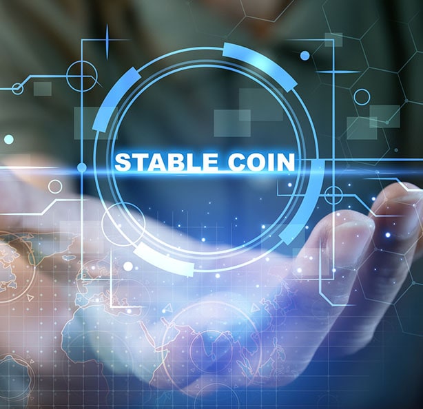 Stablecoin Escrow Company