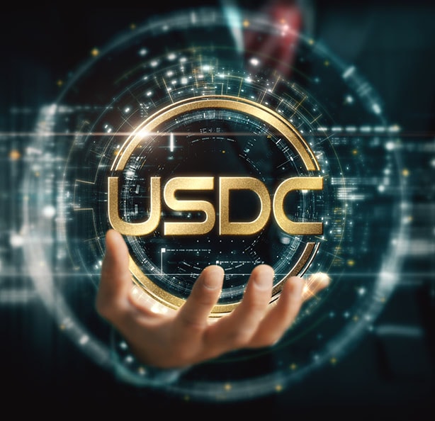 USDC Escrow Services