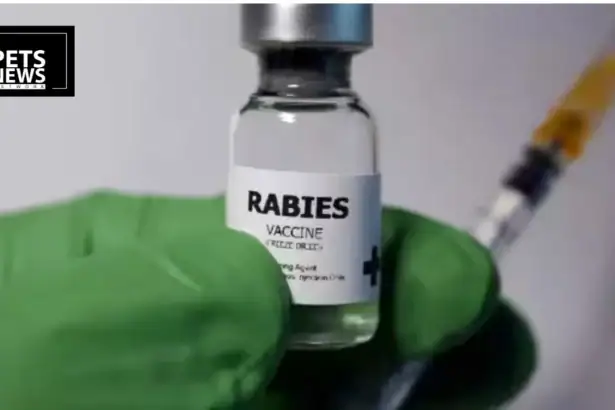 How Chicken Heads Dropped From Helicopters Defeated Rabies in Europe