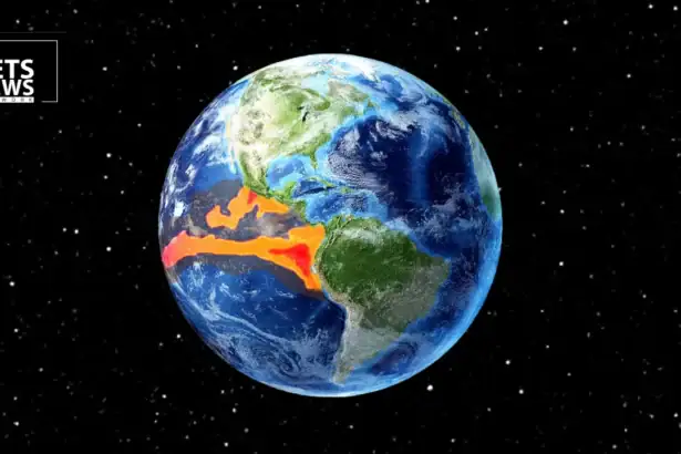Climate Shift Alert: How El Niño Could Impact the Price of Your Dog and Cat Food