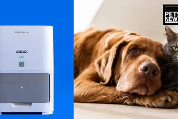IDEXX Launches First In-Clinic Cardiac Test That Screens Both Cats and Dogs for Heart Disease
