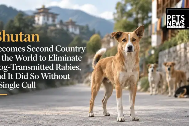 Bhutan Becomes Second Country in the World to Eliminate Dog-Transmitted Rabies, and It Did So Without a Single Cull