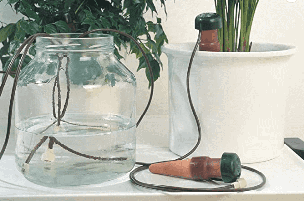 Amazon.com_-Blumat-Classic-Plant-Watering-Stakes
