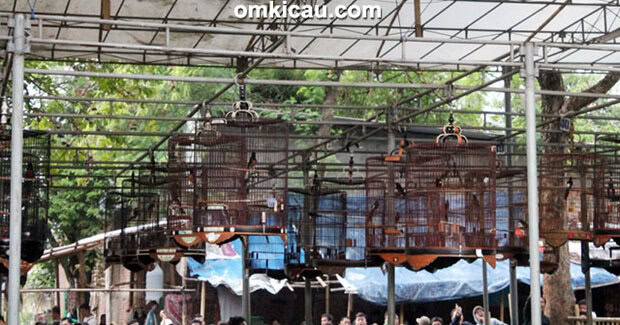 Latpres Mampang Enterprise Jakarta Selatan