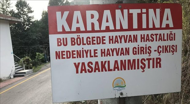 Çanakkale’de Şap Hastalığı Alarmı!