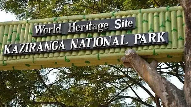 Kaziranga's Eco-Sensitive Zone: Why Is The 10-Km Buffer Becoming A 1-Km  Debate? | Outlook India