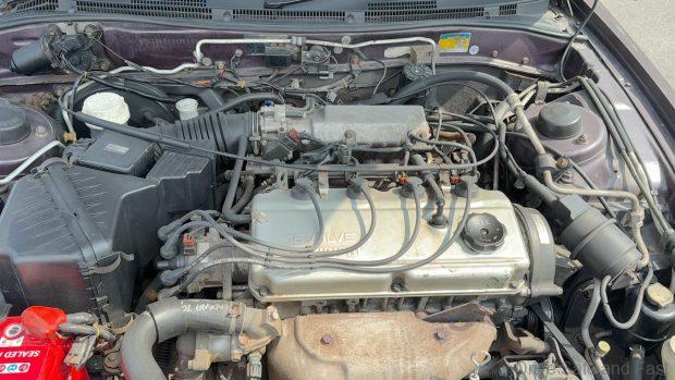 Proton Perdana