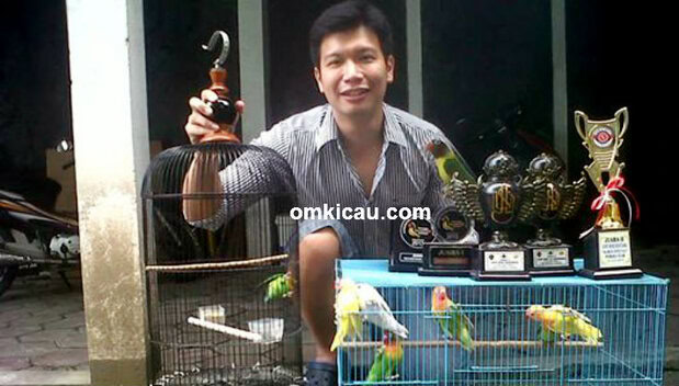 Eko LMS Solo