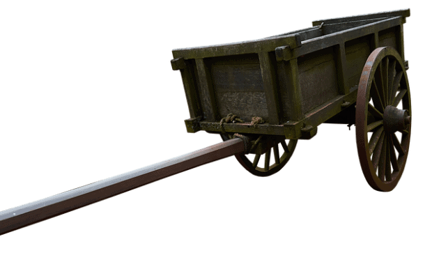 hitch your wagon to a franchise brand