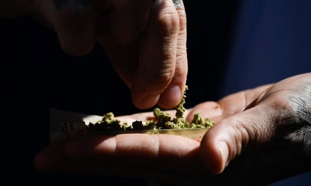 Colorado has racked up $13.2bn in cannabis sales, which has gleaned $2.2bn in taxes and fees for the state. Photograph: Patrick T Fallon/AFP/Getty Images
