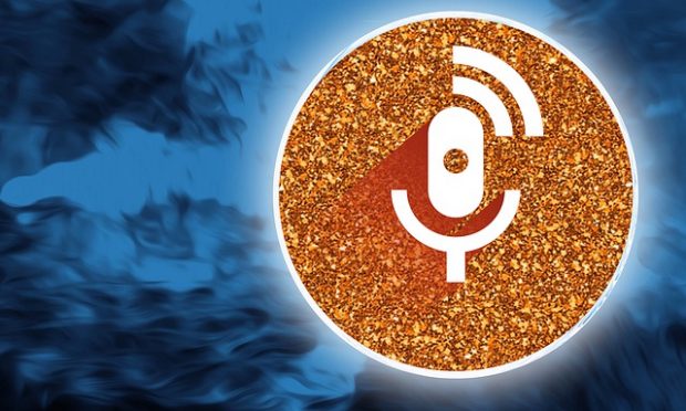 a podcast interview on the franchise business