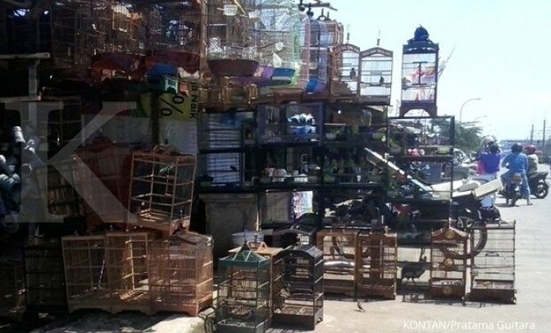Kios burung di sekitaran Kayu Manis Jl Baru, Bogor
