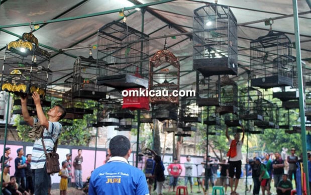 Lomba burung berkicau Menzikon Enterprise Jakarta