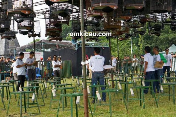 Festival Rawapening Ambarawa 2016