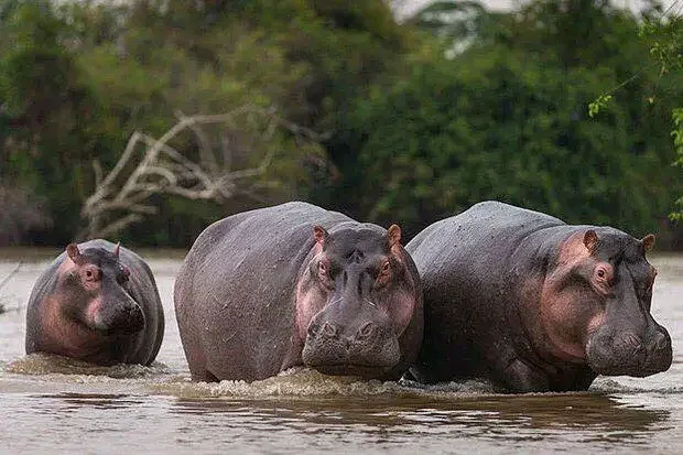 kidepo valley national park