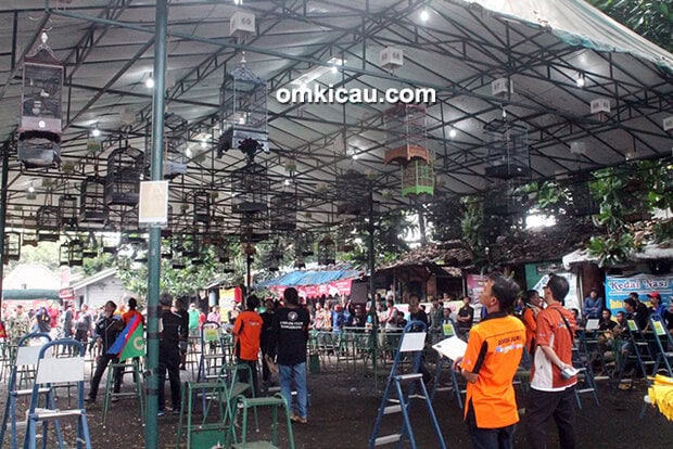 Lomba burung berkicau Piala Tirto Kukilo