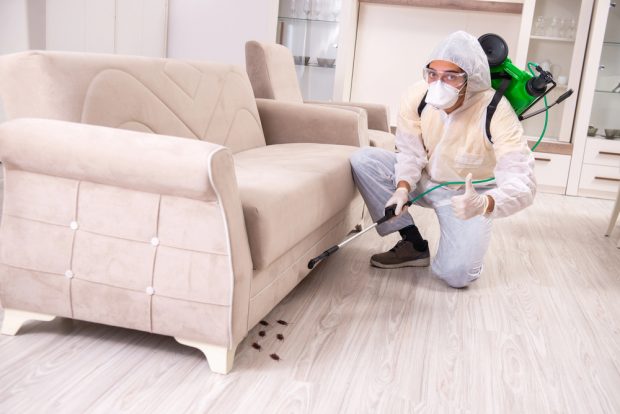pest control being performed by a franchisee employee 