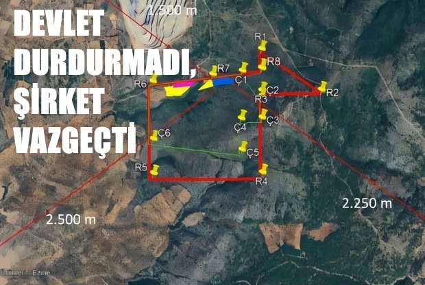 Devlet Durdurmadı, Şirket Vazgeçti