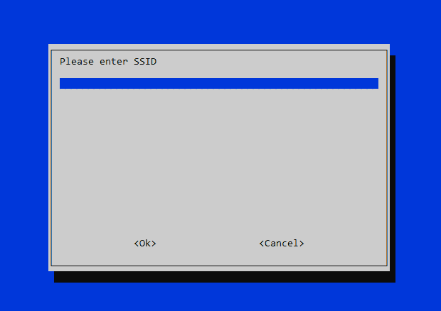 raspi config wireless lan