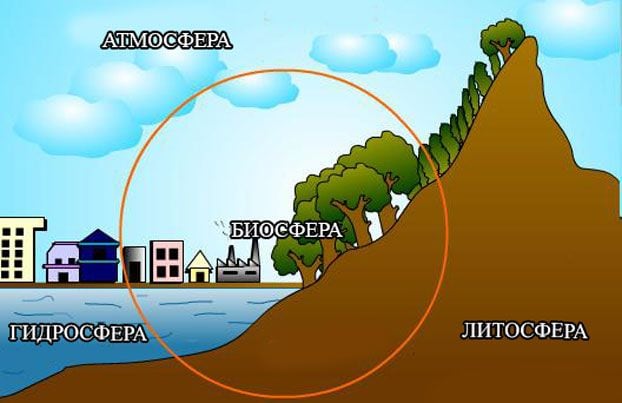 Разница между биосферой и литосферой 1 Биосфера
