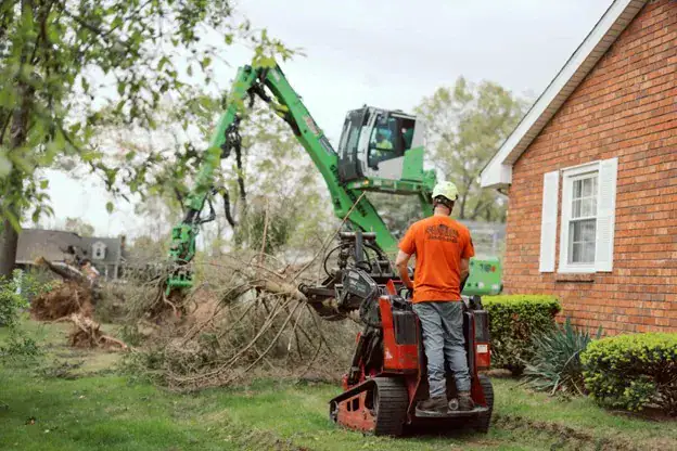 fallen tree on house Michigan