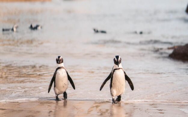 Außergewöhnliche Strände Titelbild - nix-wie-weg.de