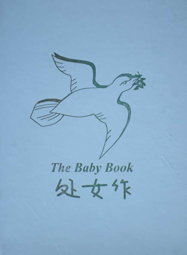 The Baby Book (English)