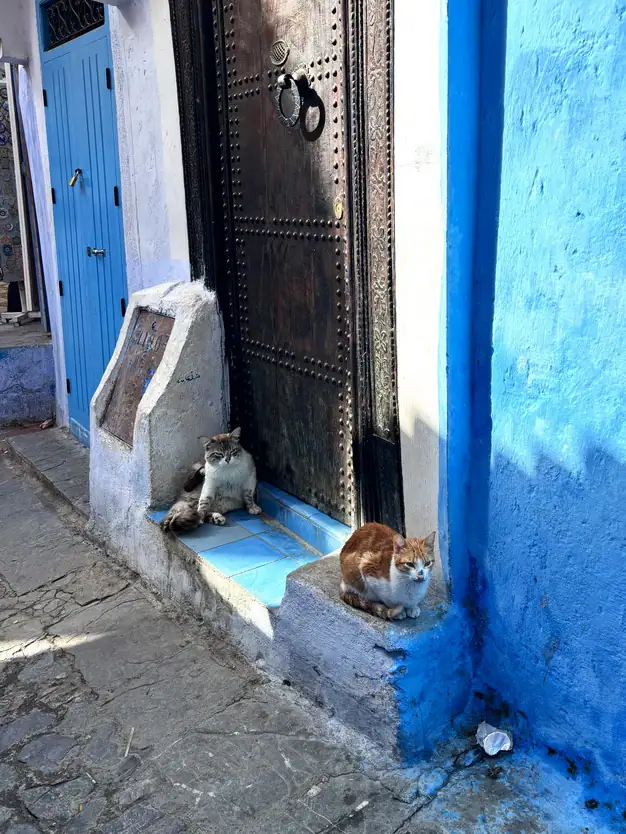 摩洛哥藍城舍夫沙萬Chefchaouen