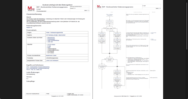 QM-Software Druckaufbereitung/ CI