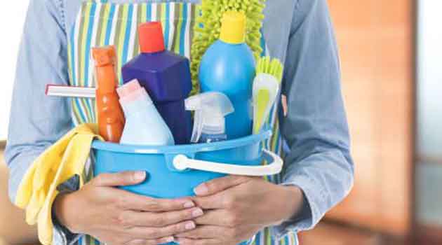 servicio doméstico y empleado domestico: empleada doméstica o del hogar