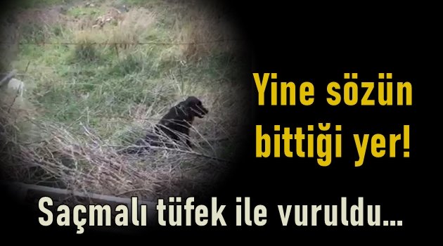 Yakamoz Restoran kaldığı yerden devam ediyor