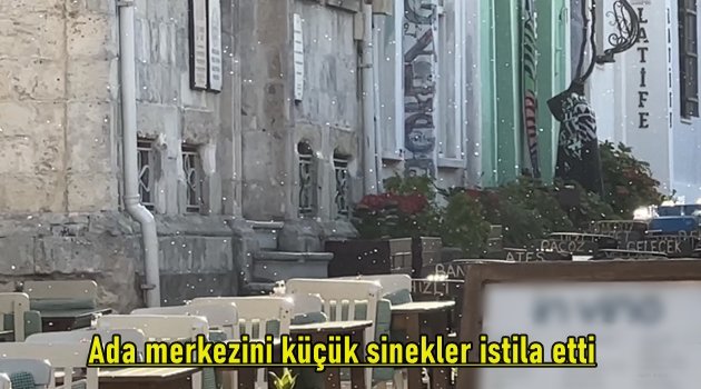 Elektrik idaresi belediye arsalarına ipotek koydu, arsa satışları yeniden gündem oldu