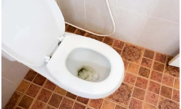 Tanda Toilet Mampet Atau Penuh?