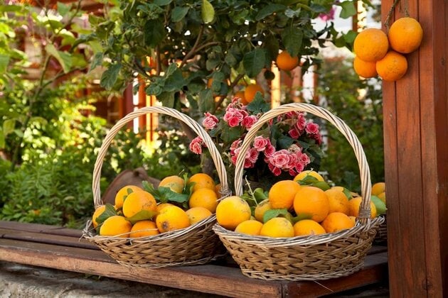 Mallorca Urlaub im August