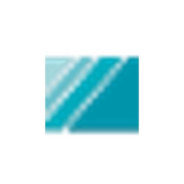 Cibex logo — Qualified Person for Pharmacovigilance (QPPV) in Pakistan