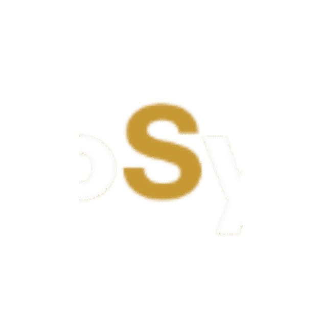 Rhino Systems logo — Video Editor Intern in Pakistan