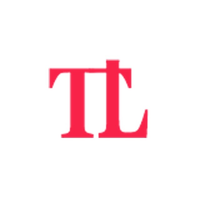 Techloyce logo — Full Stack WordPress & Shopify Developer in Lahore , Pakistan
