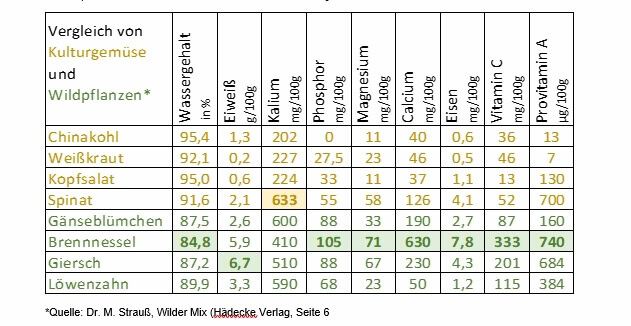 Vergleich von Kulturgemüse und Wildpflanzen Vergleich von Kulturgemüse und Wildpflanzen