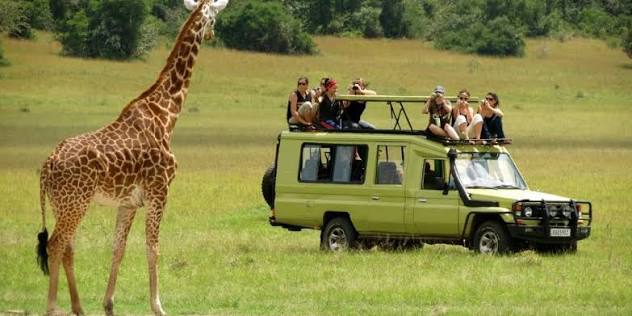 Safari Vacation Trips in Uganda
