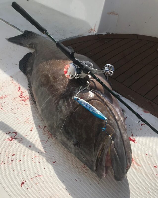 best jigs for grouper