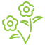 Wildflower 1
