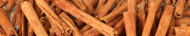 cinnamon warm aroma in perfumes